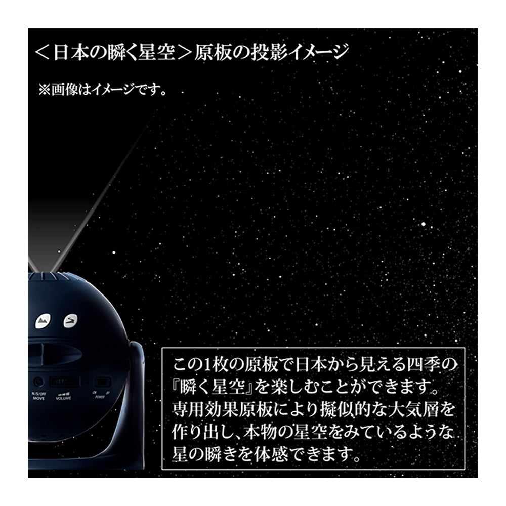 Homestar(ホームスター)ミッドナイトネイビー