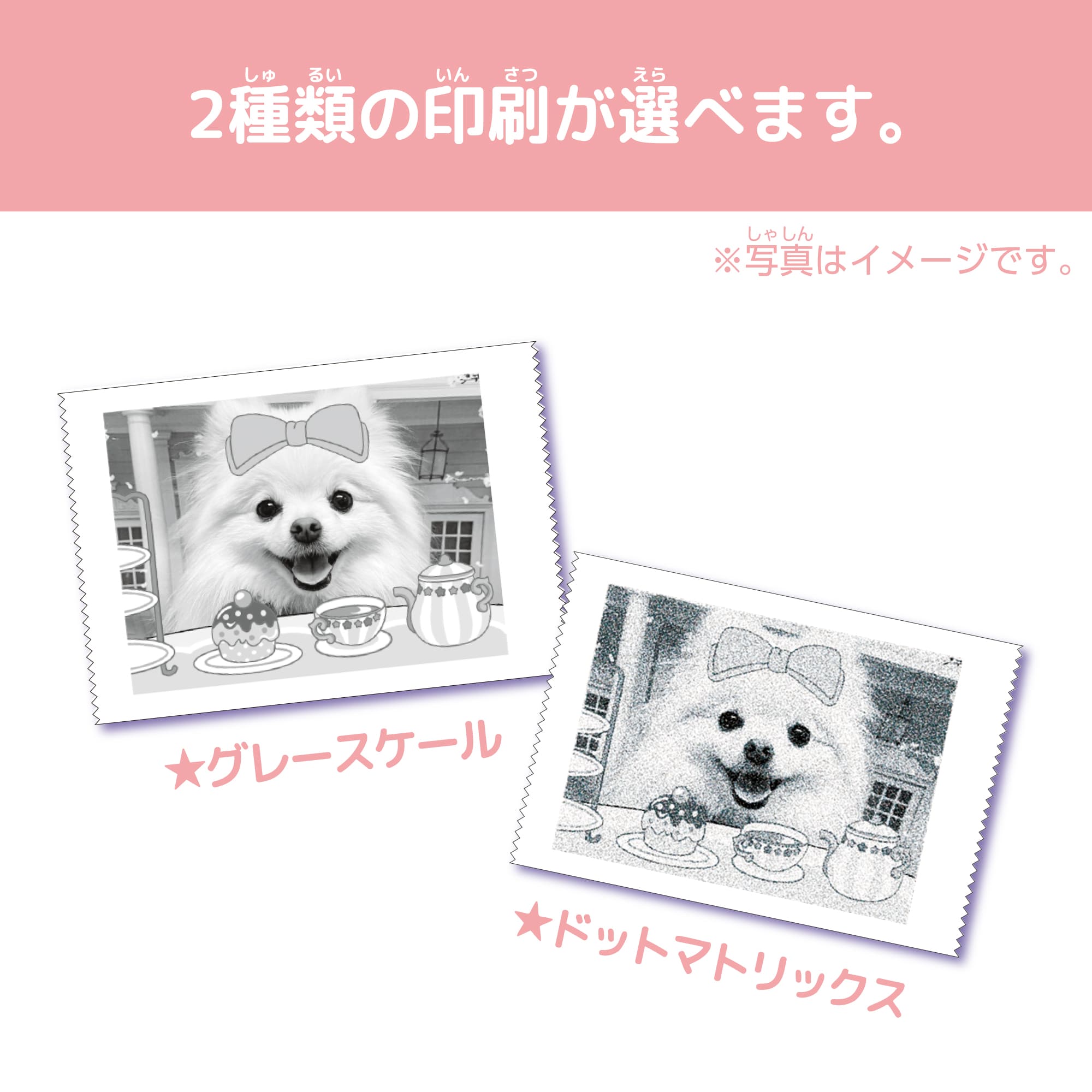 PRINT CAMERA プリカ マカロンピンク