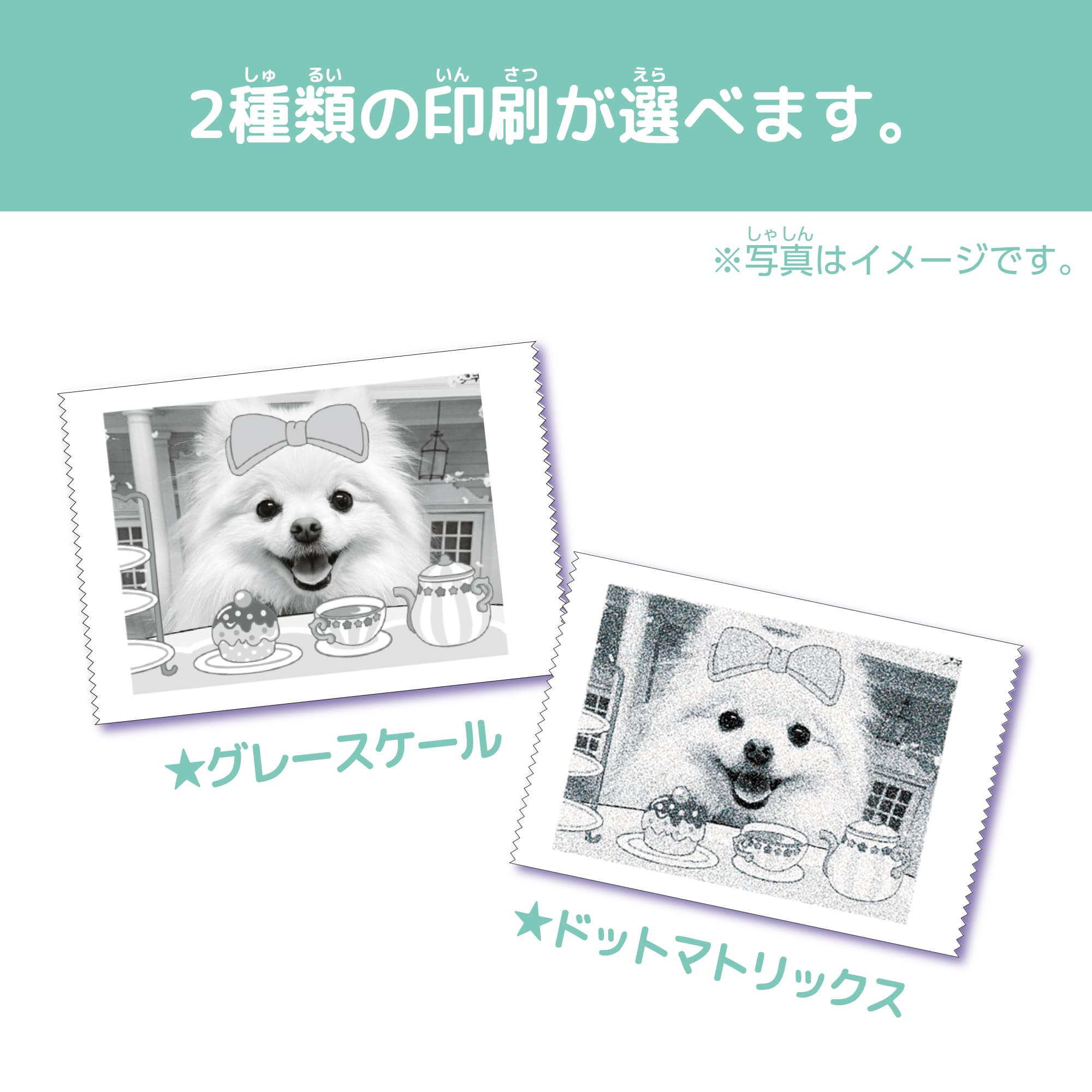 PRINT CAMERA プリカ ミントグリーン