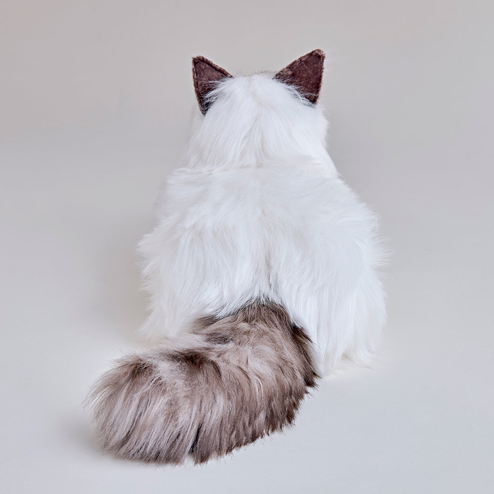 KIMIT ラグドール(ブラウン)