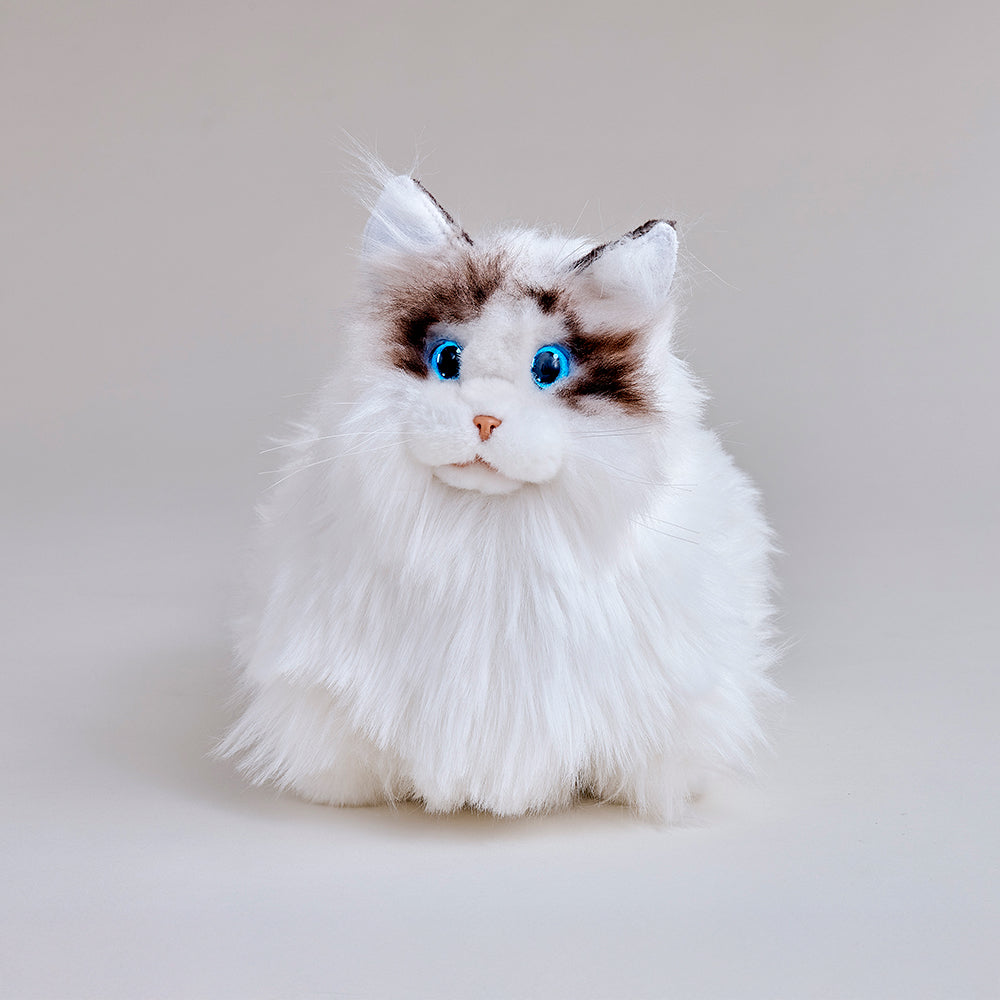 KIMIT ラグドール(ブラウン)