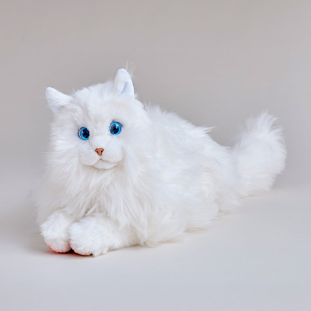 KIMIT ラグドール(ホワイト)