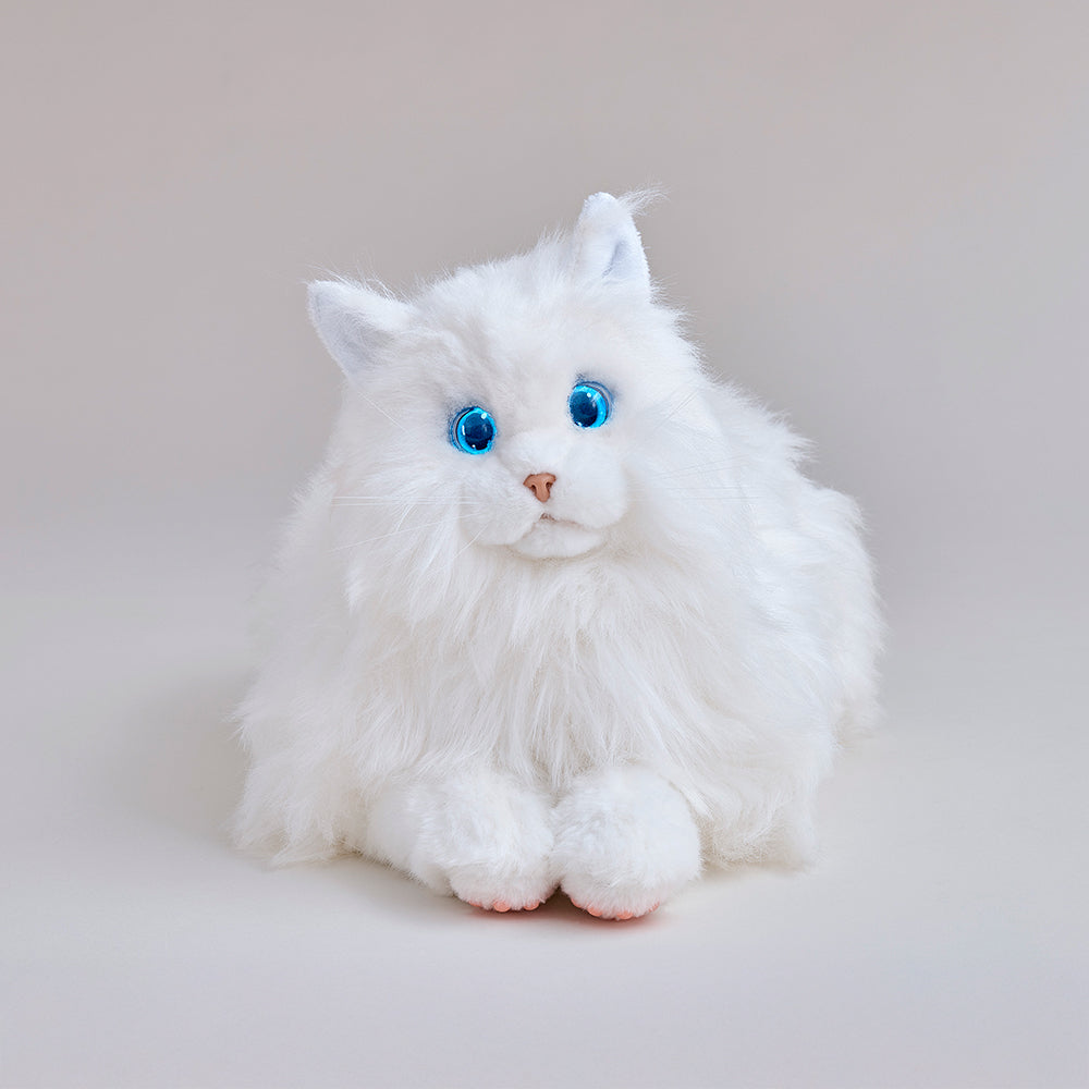 KIMIT ラグドール(ホワイト)