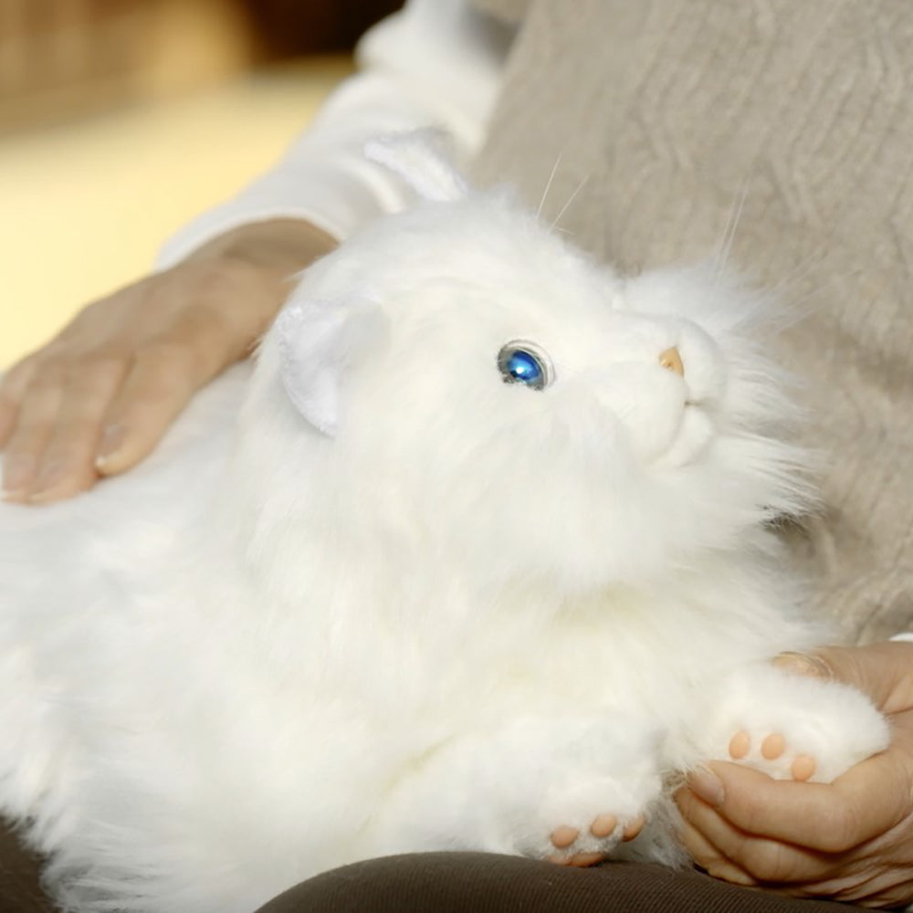 KIMIT ラグドール(ホワイト)