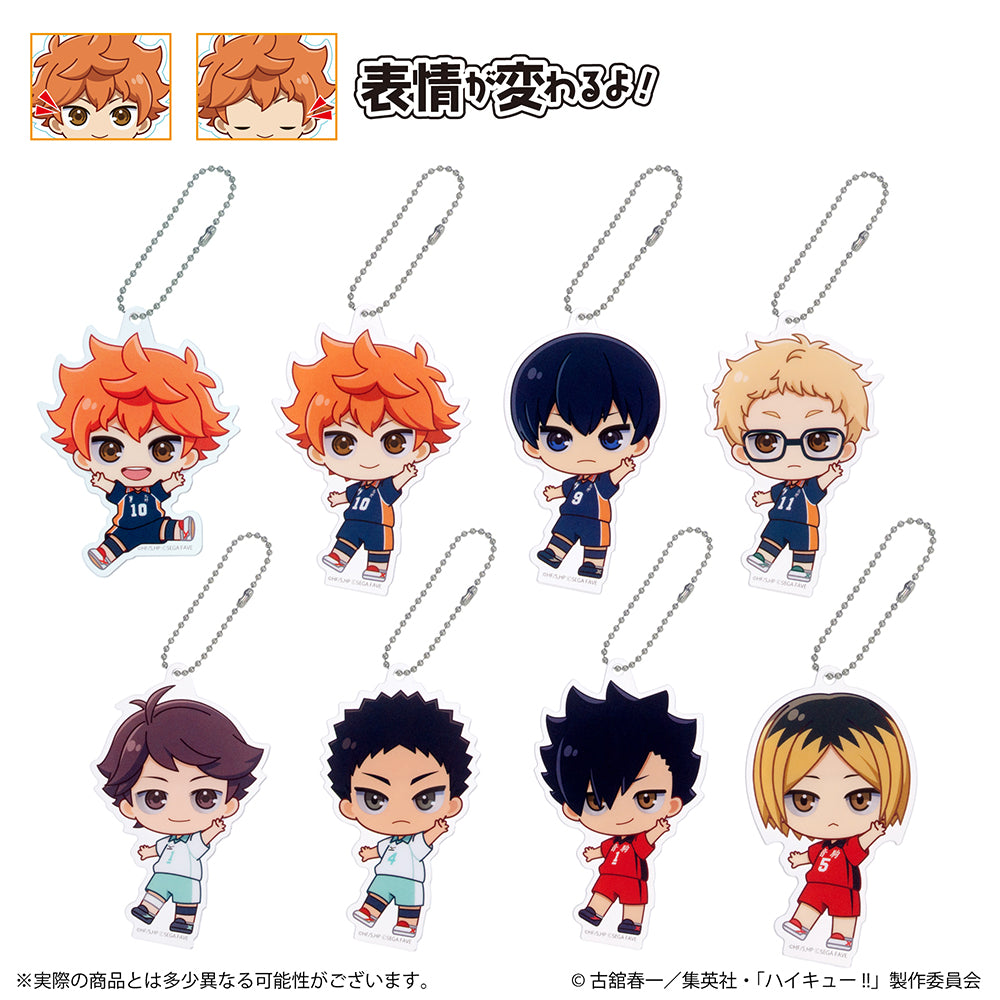 アクドールmini ハイキュー!!