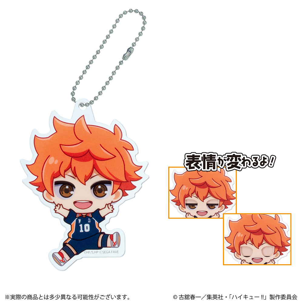 アクドールmini ハイキュー!!（BOX購入）