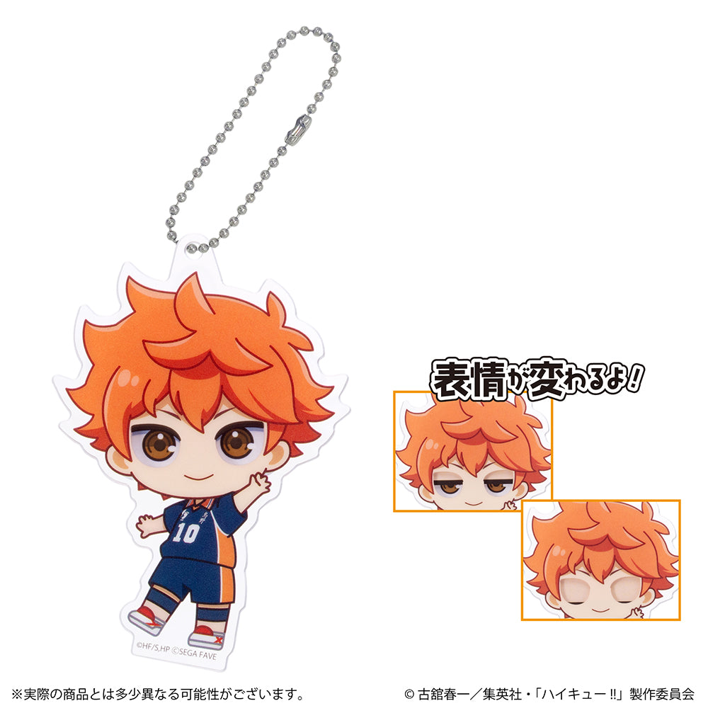 アクドールmini ハイキュー!!（BOX購入）