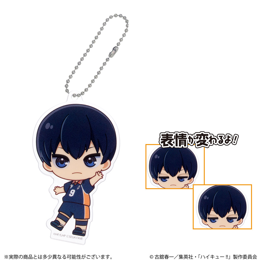 アクドールmini ハイキュー!!（BOX購入）