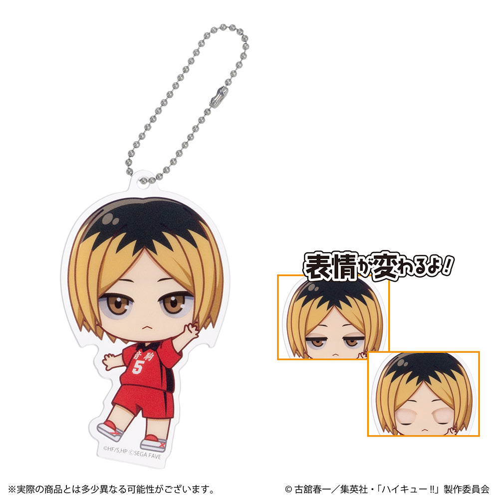 アクドールmini ハイキュー!!