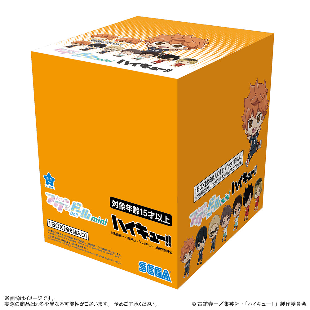 アクドールmini ハイキュー!!（BOX購入）