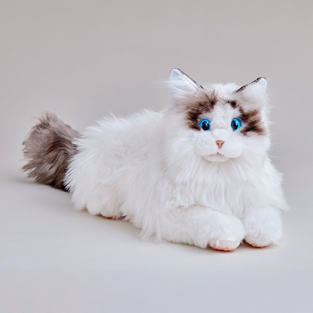 KIMIT ラグドール（ブラウン）