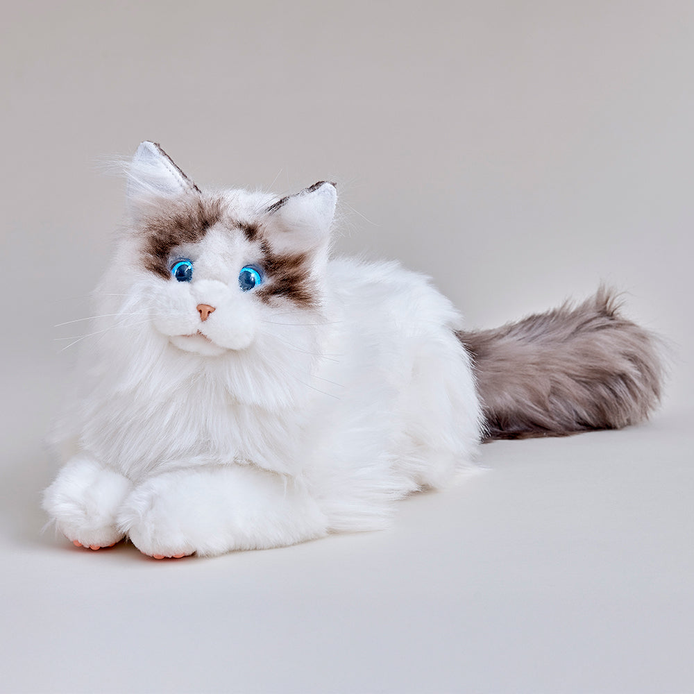 KIMIT ラグドール（ブラウン）