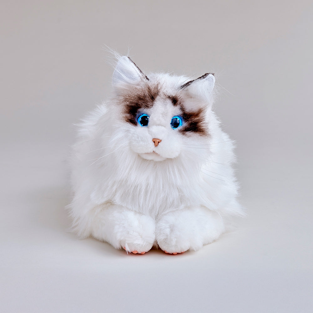 【KIMIT ラグドール ブラウン】新品未使用 KIMITラグドール（ブラウン）