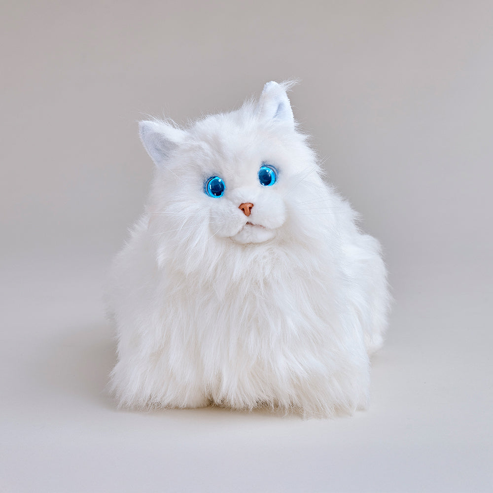 KIMIT（キミット）ラグドール　ホワイト　追記必読⭐︎ KIMITラグドール（ホワイト）