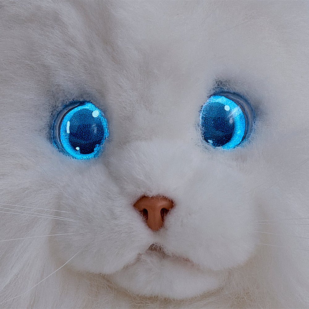 KIMIT ラグドール（ホワイト）