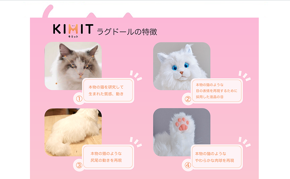 KIMITラグドール(ホワイト) KIMITラグドール(ホワイト)