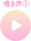 鳴き声を聞いてね