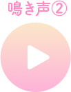 鳴き声を聞いてね